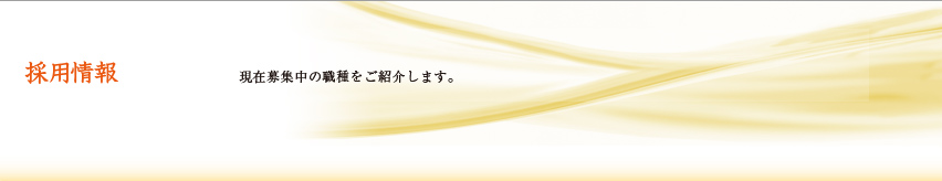 採用情報 現在募集中の職種をご紹介します。